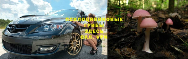mdma Богородицк