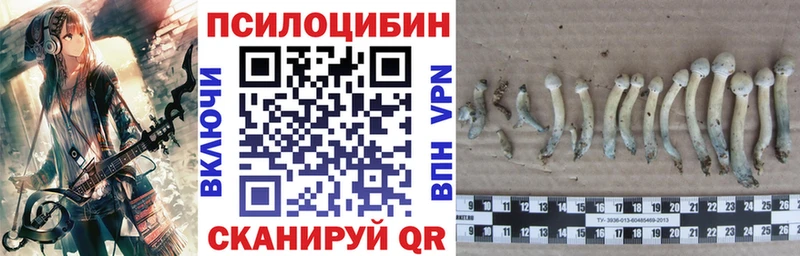 OMG сайт  Ясногорск  Галлюциногенные грибы прущие грибы 